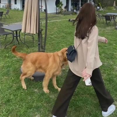 三个女人一个「因」粤语